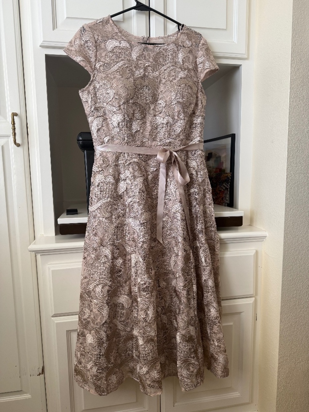 Alex Evenings champagne lace gown - Picture 1 of 4
